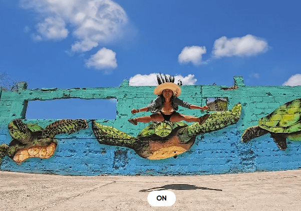 Insta360 Ace Pro 2 Standard Bundle