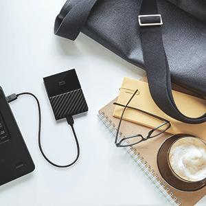 Western Digital WDBPKJ0040BBK