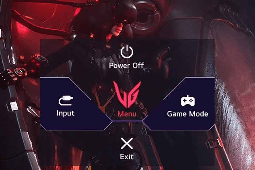 LG 24GS50F-B UltraGear Gaming monitor