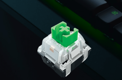 Razer BlackWidow V3 Tenkeyless tastatura