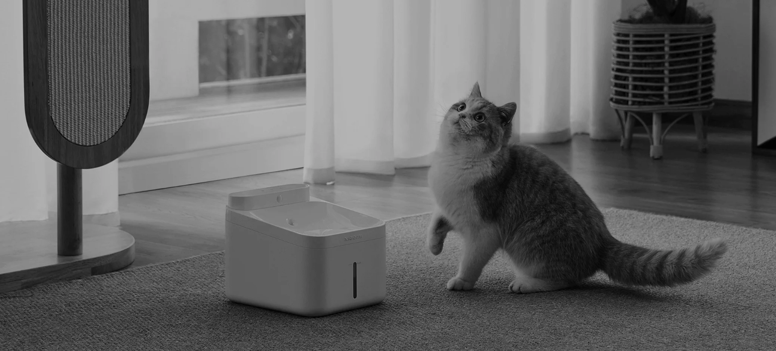 XIAOMI Smart Camera C701 security kamera