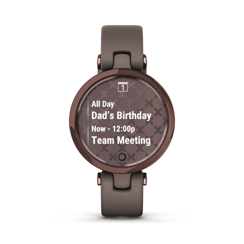 Garmin Lily Classic (Gold White)