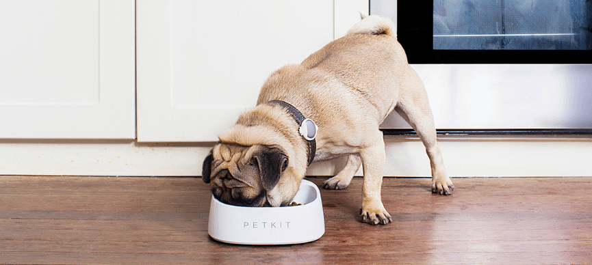 PetKit  Pet Bowl FRESH