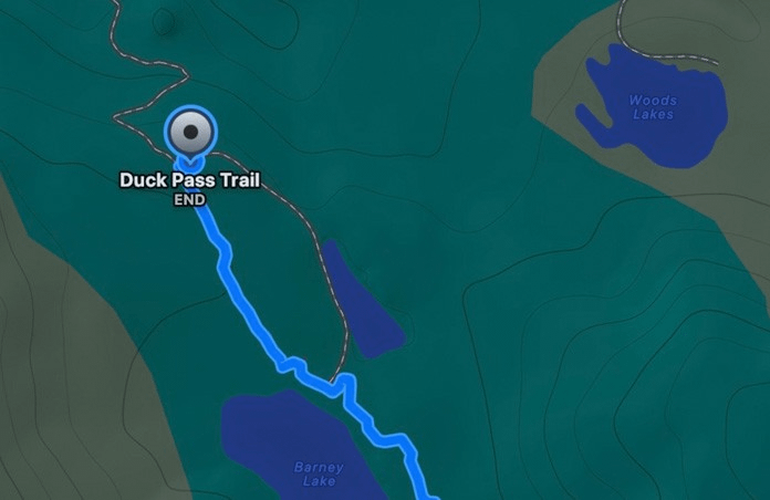 Apple Watch Ultra 3 Cellular 49mm Natural Titanium (Blue - Bright Blue Trail Loop) - M / L