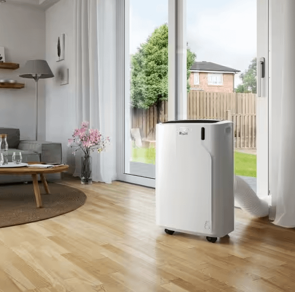 Delonghi  Pinguino  Pac EM90 SILENT