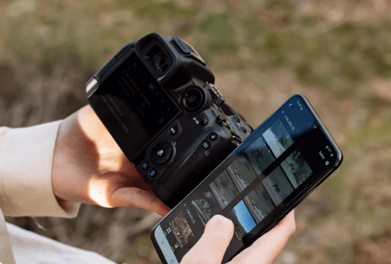 Canon EOS R7 Mirrorless 