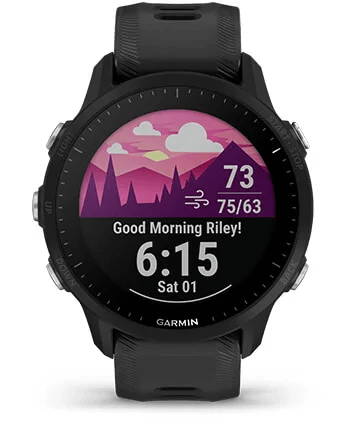 Garmin Forerunner 955 (CRNA)