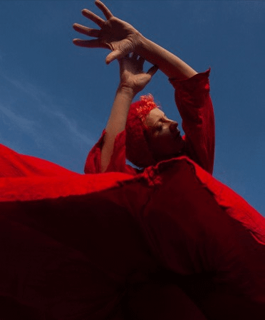 Apple MacBook Pro 14 SPACE BLACK M5-10C GPU-10C 16GB 512GB laptop