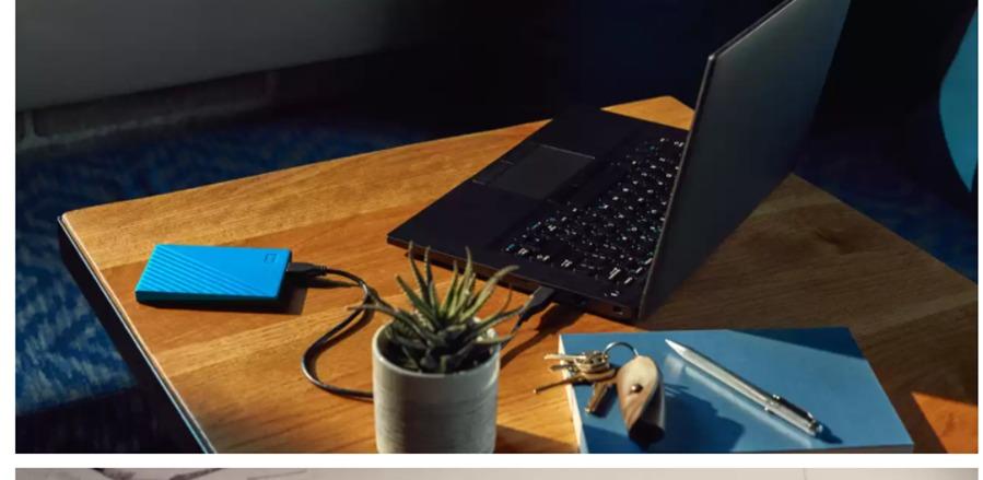 Western Digital WDBPKJ0050BBK-WESN