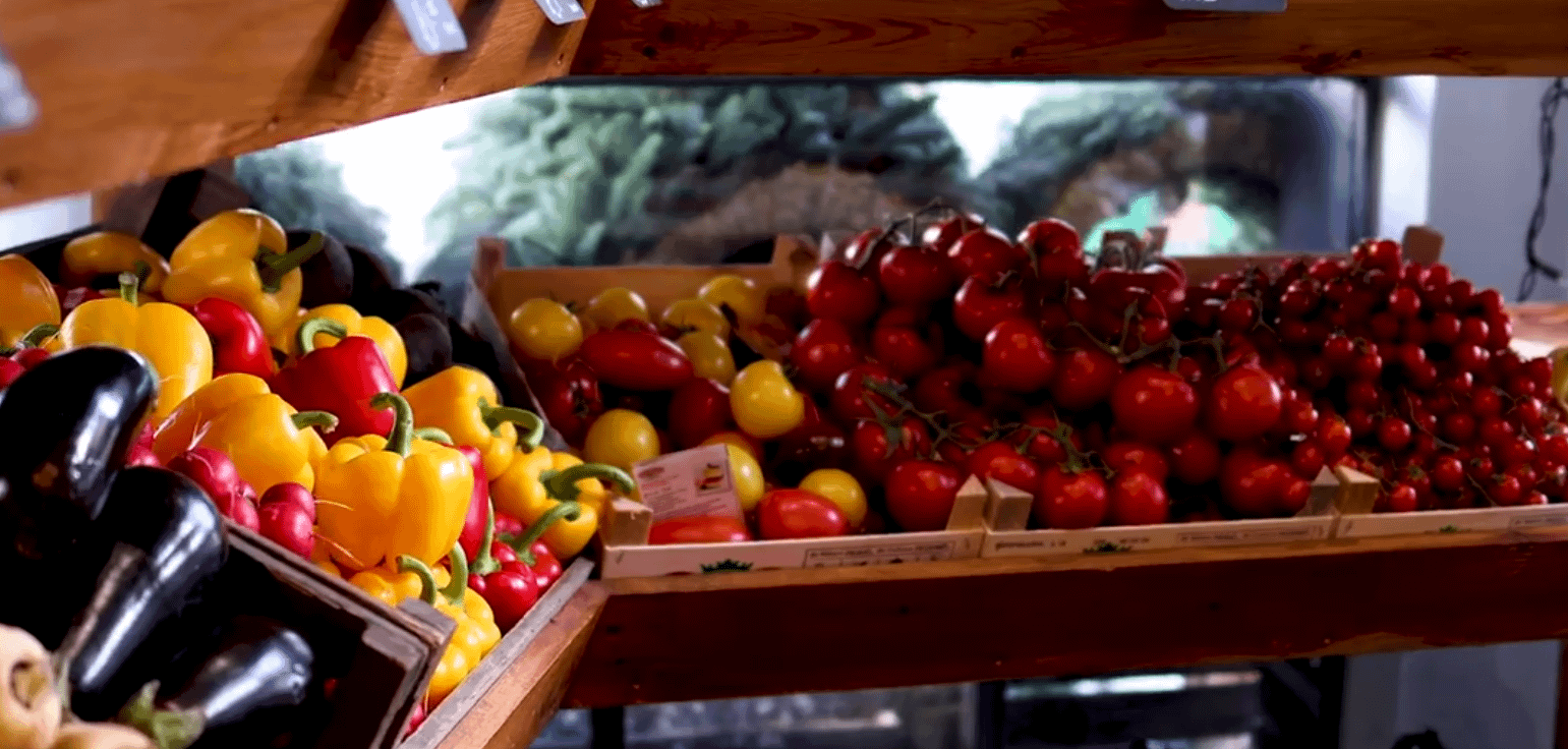 Canon EOS R50 RFS 18-45