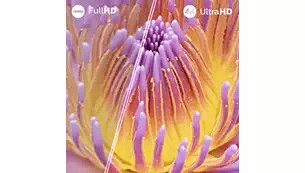 Philips 55PUS7000/12