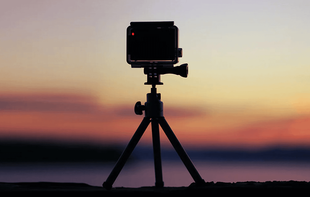 TELESIN GP-BTR-901-D Battery