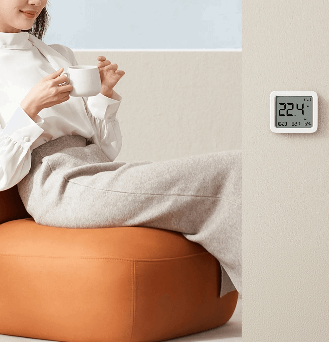 Xiaomi Mi Temperature and Humidity Monitor 3