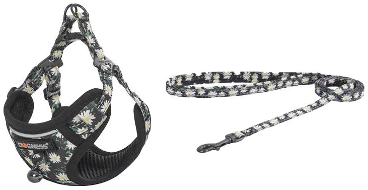Dogness povodac i pojas set za mačku (Cvjetni)