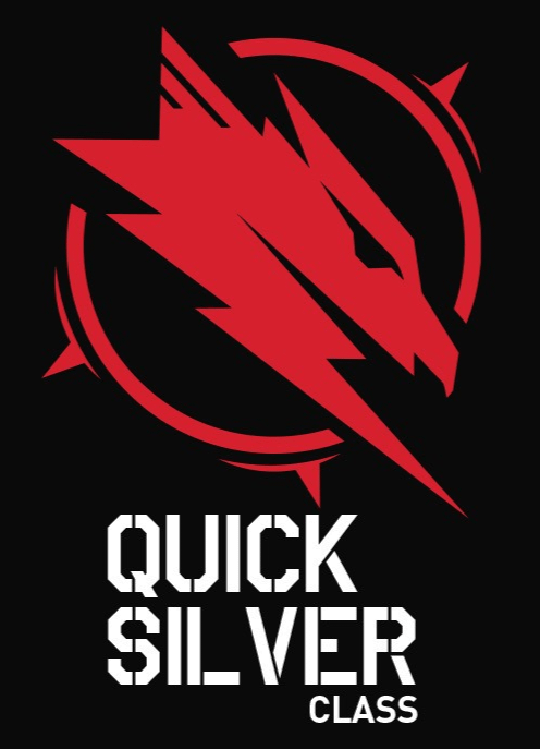 XFX Quicksilver RX 9070XT Gaming Edition grafička kartica