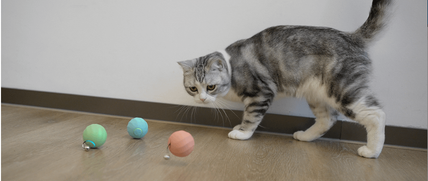 Cheerble Ice Cream (plava)