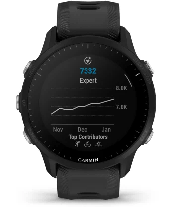 Garmin Forerunner 955 (CRNA)