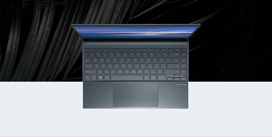 ASUS ZenBook UX425EA-WB711R
