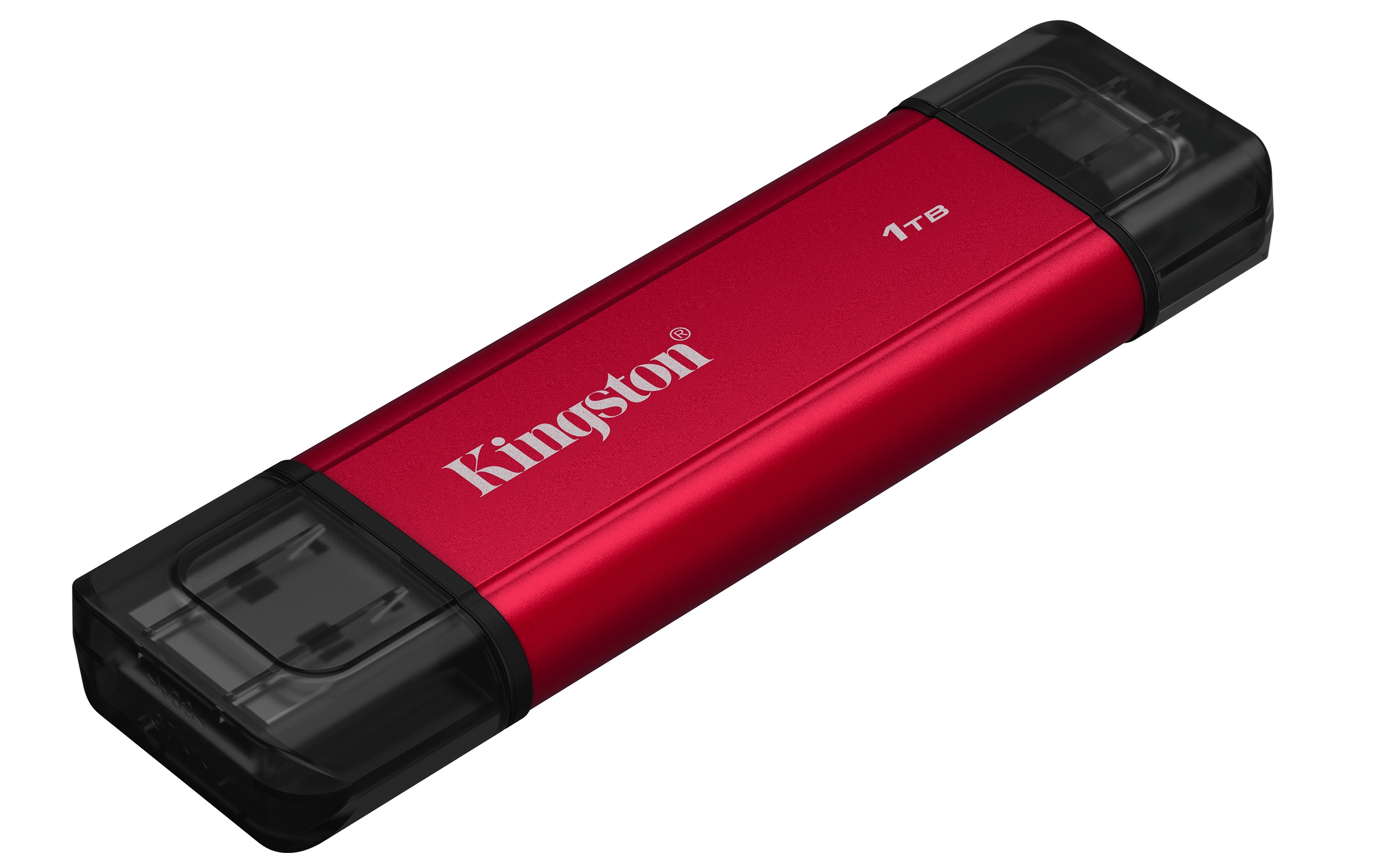 Kingston Dual Portable 1TB SSD disk