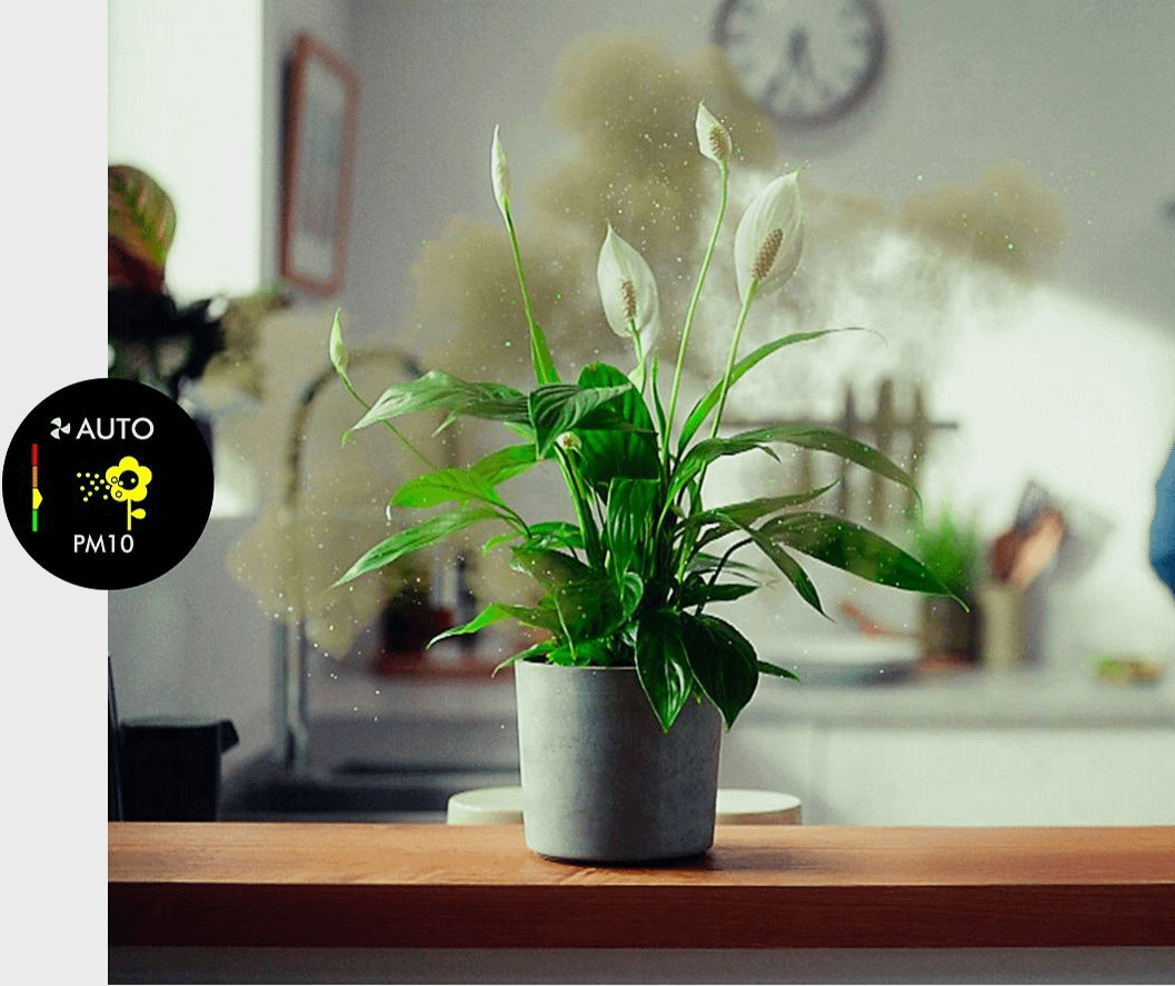 Dyson Purifier Humidify+Cool PH2 De-NOx (White/Gold)