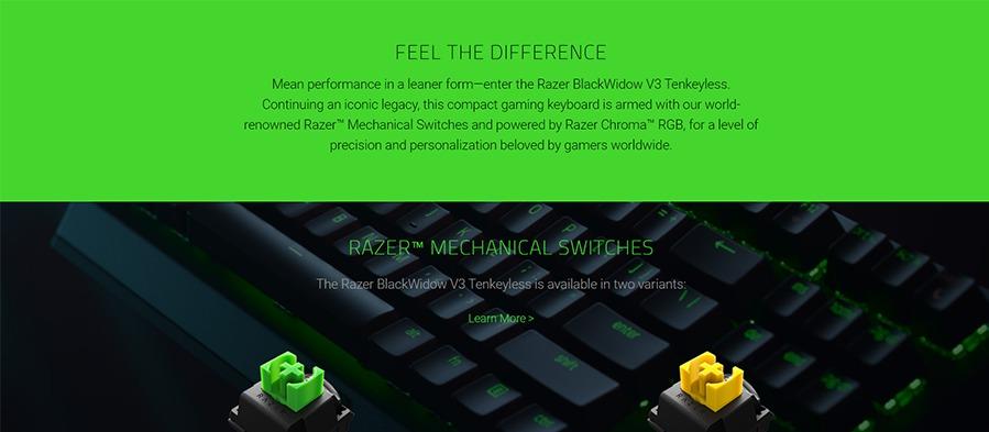 Razer BlackWidow V3 Tenkeyless GR