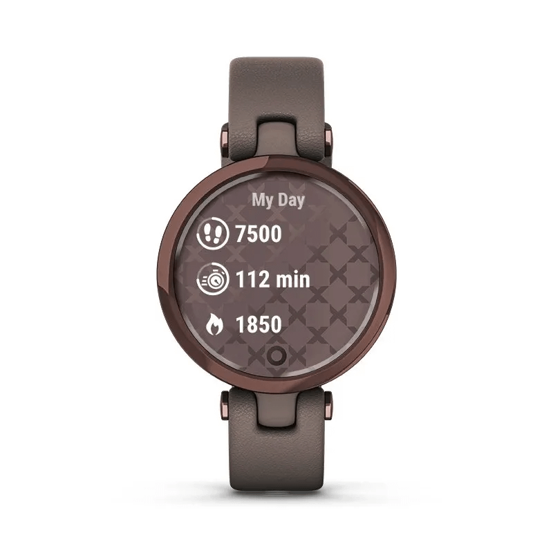 Garmin Lily Classic (Gold White)