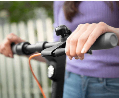 Segway KickScooter F30E