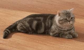 Xiaomi Smart Camera C500 Pro