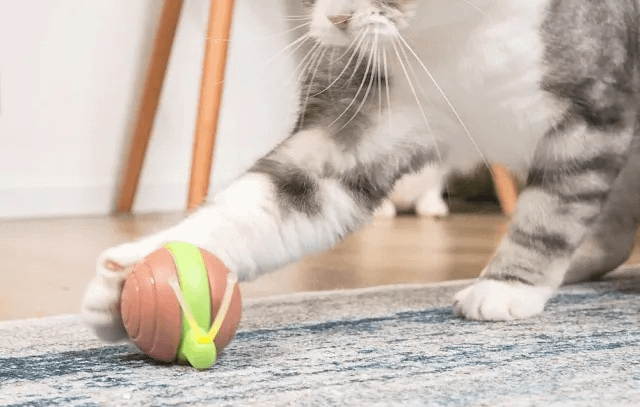 Cheerble Wicked Snail (BROWN)