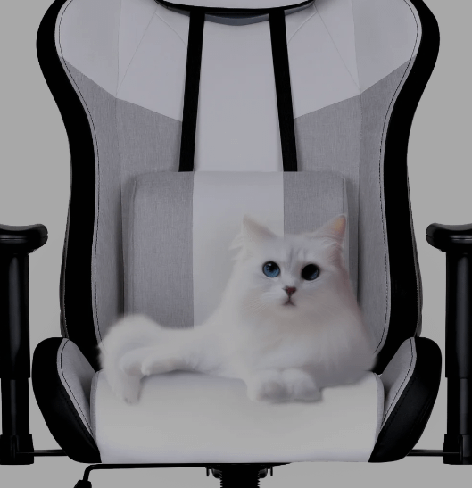 COOLER MASTER Caliber R3C White gaming stolica