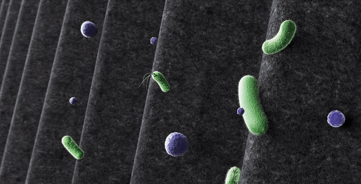 XIAOMI Smart 4 Lite prečišćivač +  Mi Smart Band 9 Active Black