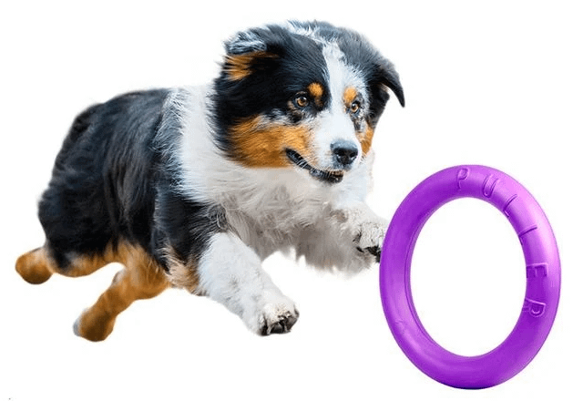 Waudog Puller Midi 19.5cm