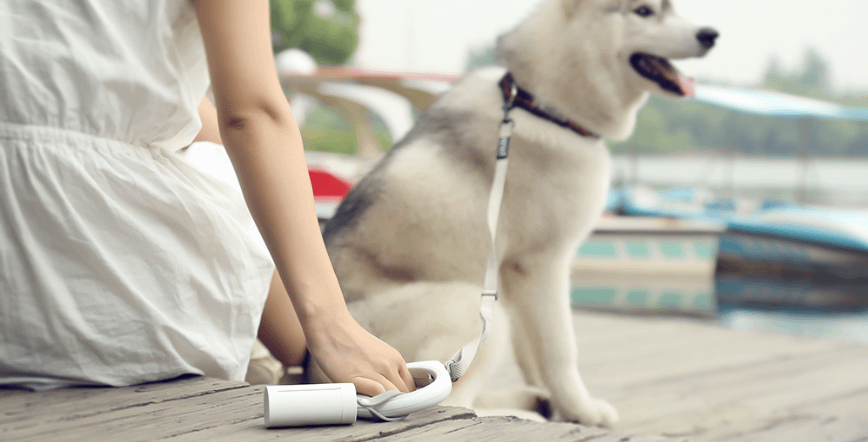 PetKit Doggie kontejner