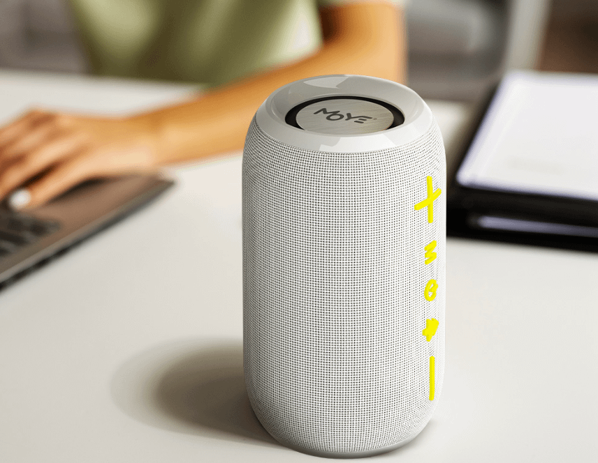 Moye Echo Go Light Gray