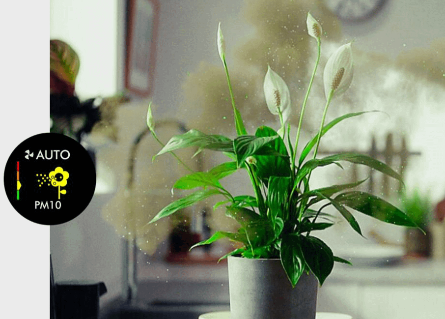 Dyson TP12 Purifier Cool PC2 De-Nox (White / Gold)