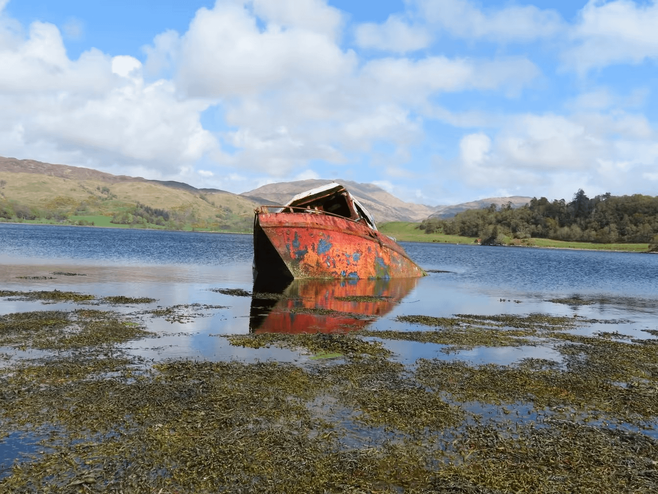 Canon PowerShot SX740HS Lite Black digitalna kamera