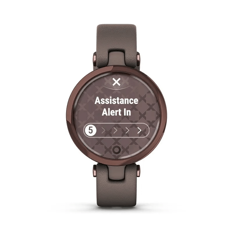 Garmin Lily Classic (Gold White)