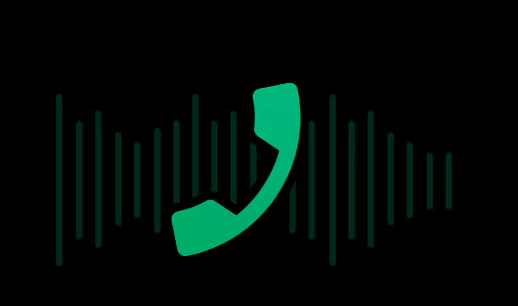 Amazfit Cheetah Pro (BLACK)