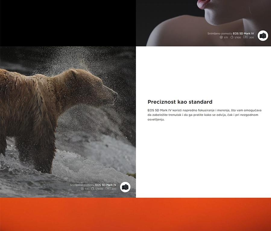 Canon EOS 5D Mark IV body