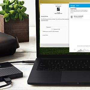 Western Digital WDBPKJ0040BBK