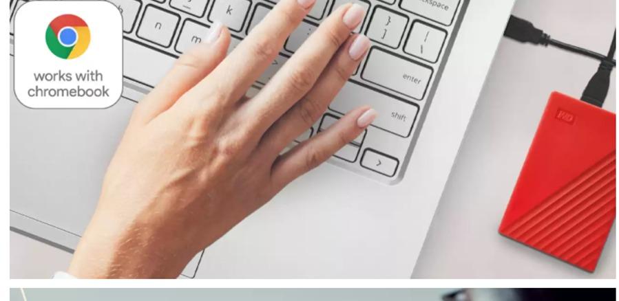 Western Digital WDBYVG0020BBK-WESN