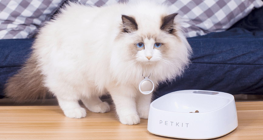 PetKit  Pet Bowl FRESH