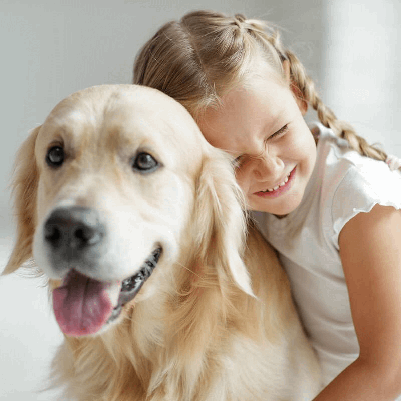 Ariete STEAM MOP 10-u-1 FOLDABLE 4175 paročistač