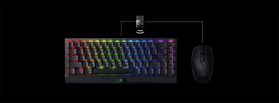 Razer RZ03-03890100-R3M1