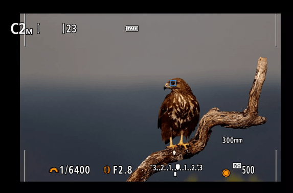 Canon EOS R7 Mirrorless 