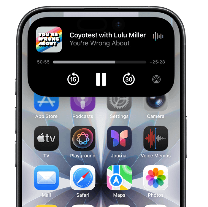 Apple iPhone 17 256GB Black smartphone