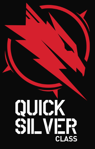 XFX Quicksilver RX 9070 OC 16GB XFX Gaming grafička kartica