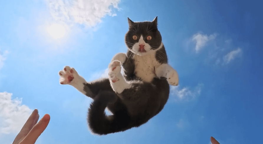 Insta360 GO Ultra Standard Bundle (Arctic White)